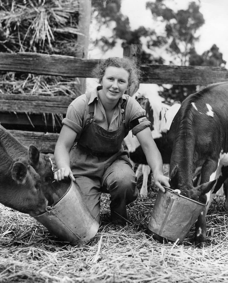 Margaret Dickson feeding calves.