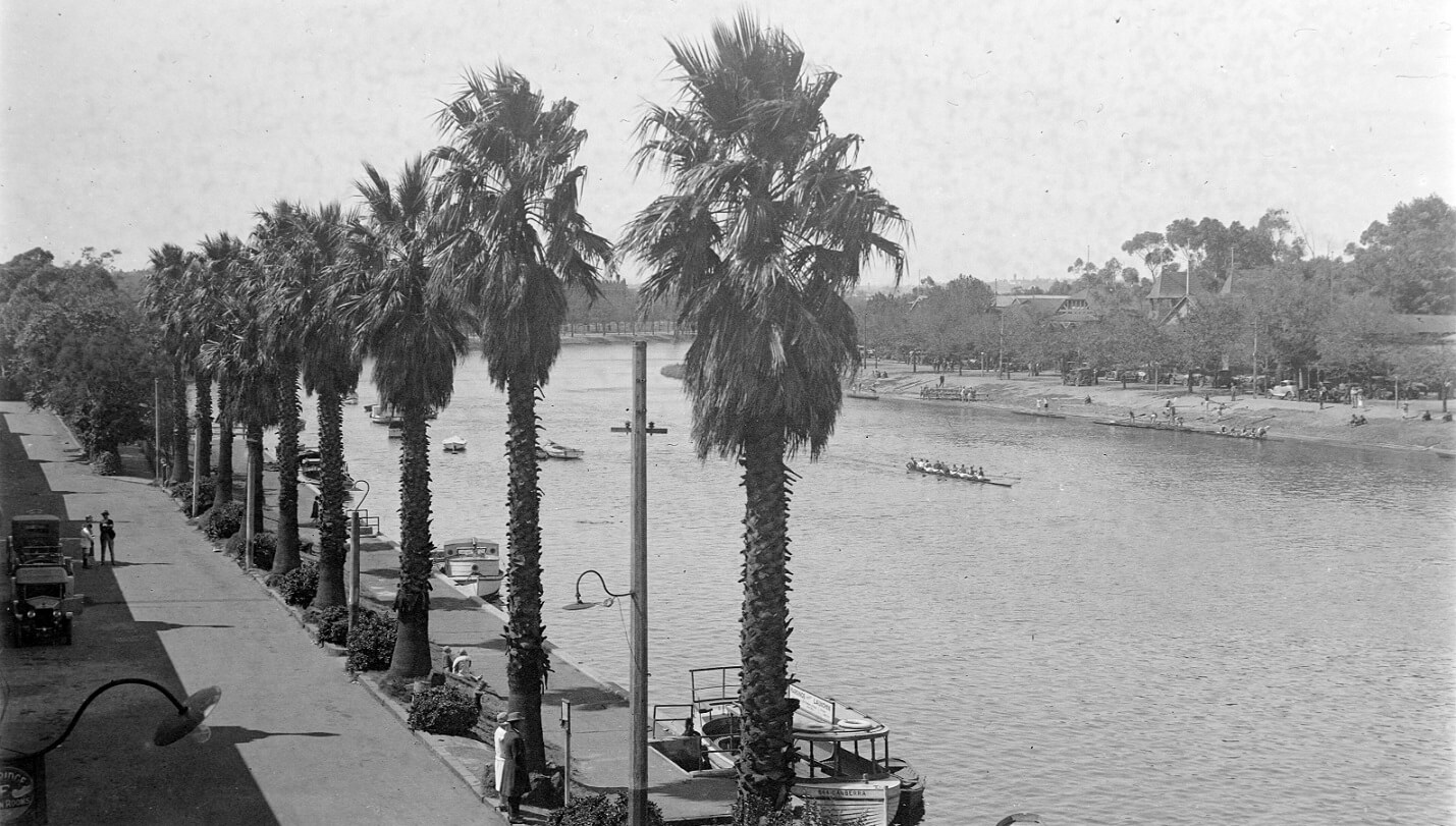 black and white photograph showing a wide river with 4 boats sailing along the middle, two have rowers, the other two appear to be powered. along the left bank is a row of tall palm trees, and to the far left of the image 2 motor cars sit. 