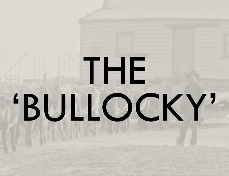the bullocky