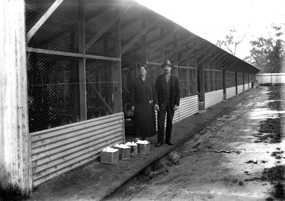 VICTORIAN RAILWAYS POULTRY FARM MANAGERS. 12903-P1-069.13