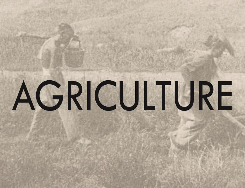 agriculture