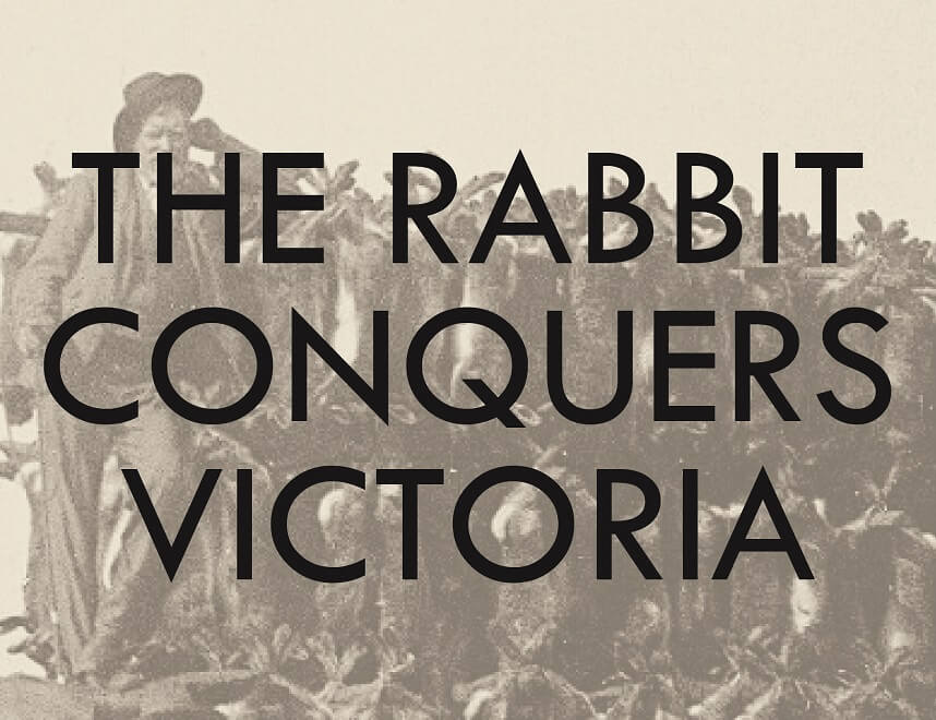 the rabbit conquers victoria