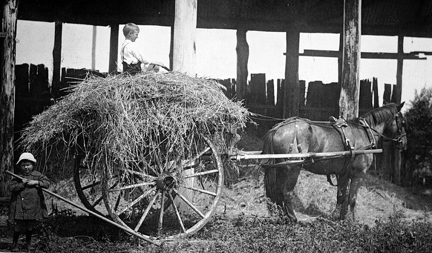 black and white photograph of a young boy on a cart filled with hay. A horse is pulling the cart, though it appears a staged image.