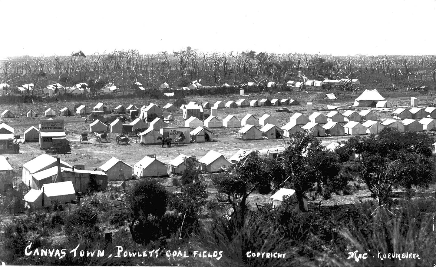 A clearing of bush with housing tents lined up in rows. Some of the tents have professional signs, one for the butcher and one for the draper.
